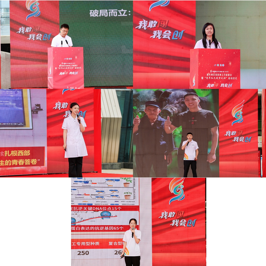 image5.png